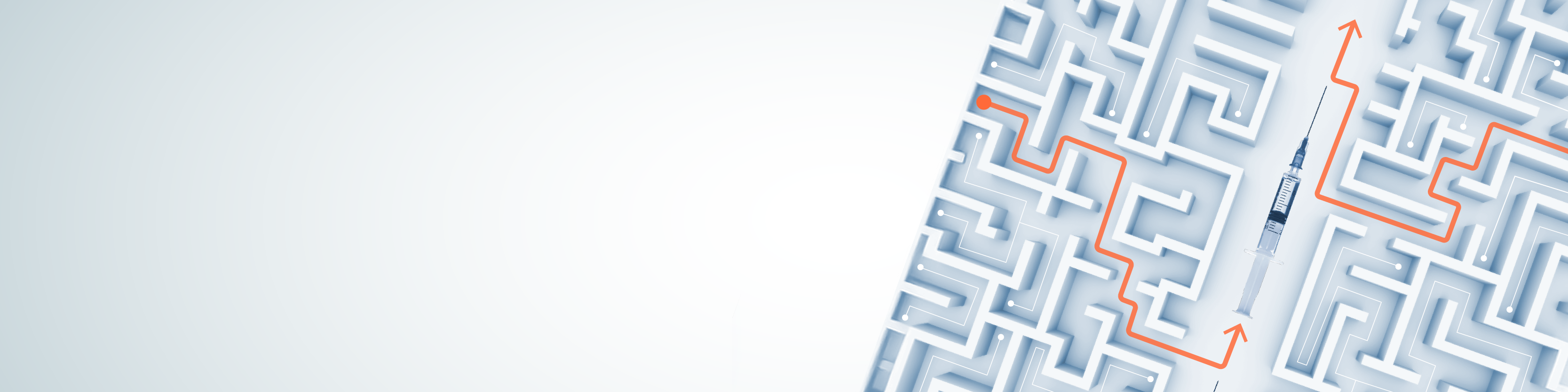 Injectable Drug Formulations